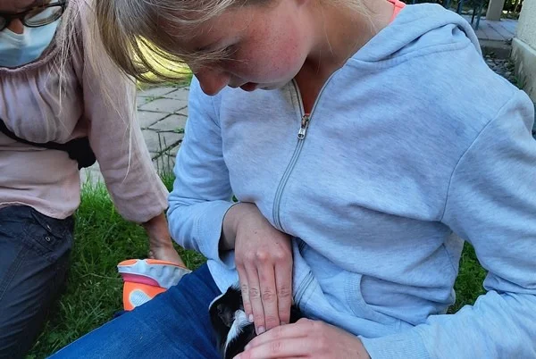 Das Bild zeigt ein Kind mit einem Meerschweinchen