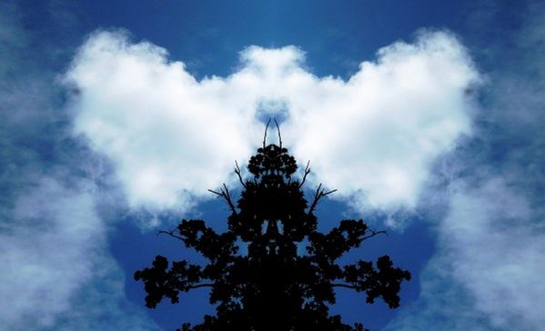 Foto-Ausstellung „Gespiegelte Welten der Natur“