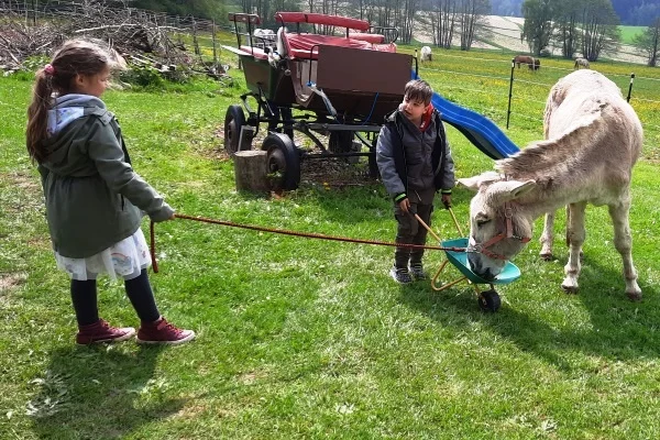 Das Bild zeigt zwei Kinder mit einem Esel