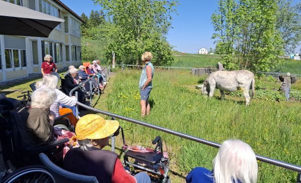 Das Bild zeigt zwei Esel auf einer Wiese mit Menschen