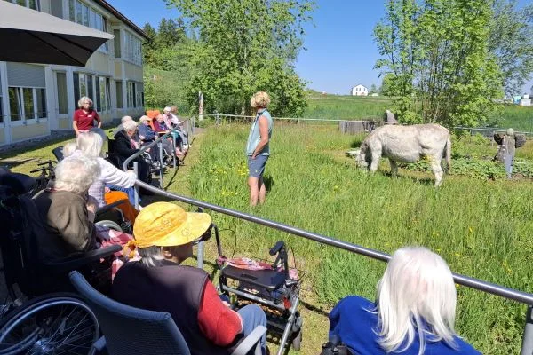 Das Bild zeigt zwei Esel auf einer Wiese mit Menschen