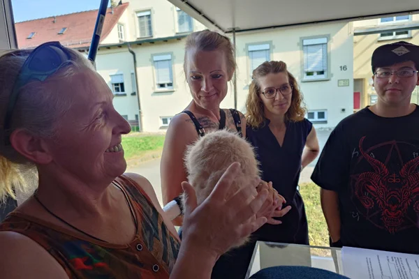 trudi-truck sozialstation st. anna mengen das bild zeigt eine ativkatze, ein „interaktives Haustier“ für menschen mit demenz