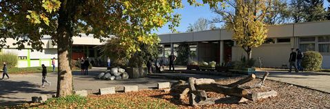 Das Bild zeigt das SBBZ Don-Bosco-Schule