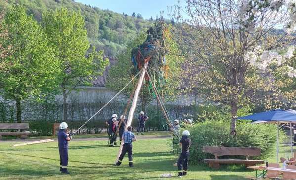 Das Bild zeigt Mitarbeiter der freiwilligen Feuerwehr beim Aufstellen eines Maibaumes auf einer Wiese