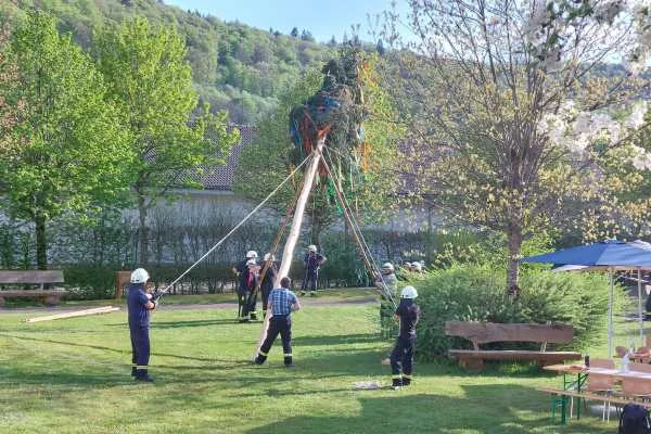 Das Bild zeigt Mitarbeiter der freiwilligen Feuerwehr beim Aufstellen eines Maibaumes auf einer Wiese