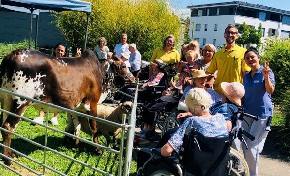 Das Bild zeigt  Bewohner, Mitarbeitende und Angehörigen auf der Wiese vor dem Haus St. Iris mit einem Pferd und einem Schaf.