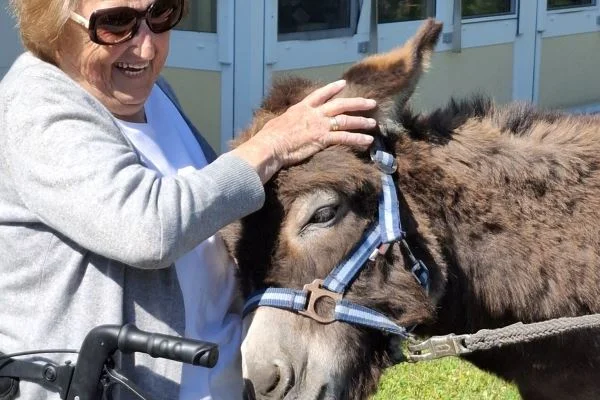 Eselbesuch im Haus St. Antonius Das Bild zeigt eine Person, die einen Eselkopf streichelt
