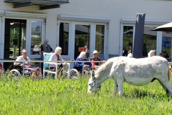 Eselbesuch im Haus St. Antonius Das Bild zeigt einen Esel auf einer Wiese mit Menschen