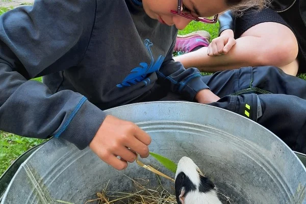 Das Bild zeigt ein Kind mit einem Meerschweinchen