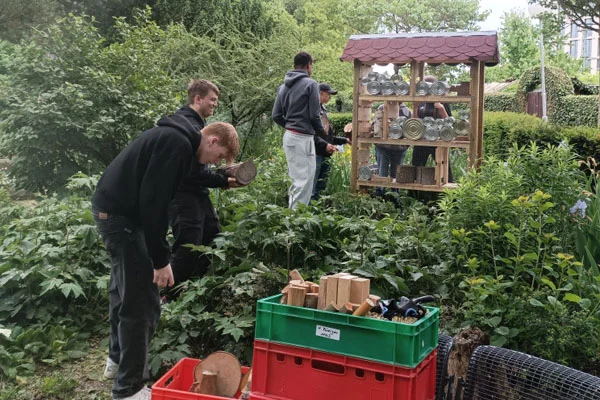das bild zeigt schüler der max-gutknecht-schule in ulm beim aufbau des selbst gebauten bienenhotels