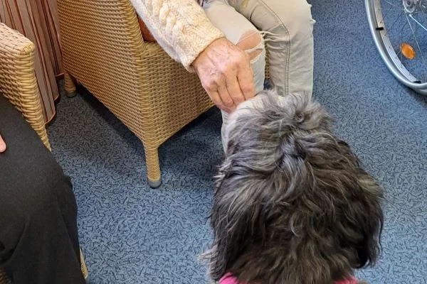 Tierischer Besuch im Haus der Pflege St. Hildegard Das Bild zeigt die Hand einer sitzenden Person, die einen Hund füttert