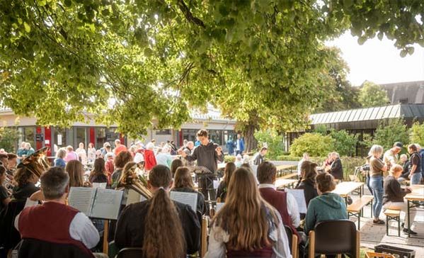 Eine Musikkapelle spielt unter einem Baum.