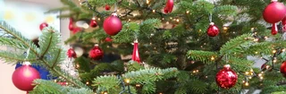 Weihnachtsbaum