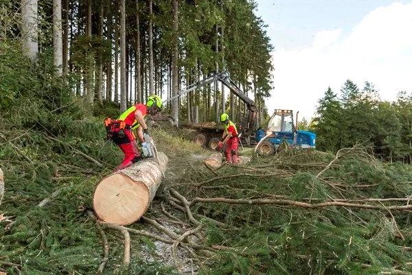Forstliche Dienstleistungen