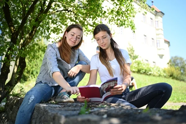 Das Bild zeigt zwei junge Frauen die gemeinsam auf einer Mauer vor einem Schloss sitzen und gemeinsam in ein Heft gucken.