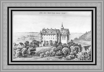 1870, Beginn der Arbeit. Ursprünglich soll in Tettnang ein Neubau errichtet werden, doch das Bauvorhaben scheitert. Adolf Aich sucht nach Alternativen und wird auf das in der Nähe gelegene  leer stehende Schloss Liebenau aufmerksam. 1870 wird das Schloss gekauft, und noch im selben Jahr zieht das Personal ein. Vier Personen werden betreut – Menschen, denen Aich auf seinen Reisen begegnet ist. Von Anfang an wird auch Landwirtschaft betrieben. Die offizielle Eröffnung der Pflegeanstalt am 15. Oktober 1870 findet Beachtung in ganz Württemberg.  Das Bild zeigt das Schloss Liebenau um 1880.