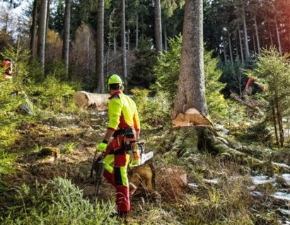 Das Bild zeigt einen Forstarbeiter im Wald