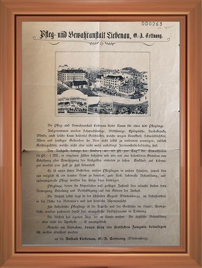 1900, Katholische und evangelische Seelsorge. Die Pflegeanstalt war inzwischen offen für Menschen aller Konfessionen. In einem Werbeplakat von 1900 wird, neben der „herrlichen Alpenaussicht“, der „guten Kost“ und „der liebevollen Behandlung“, auch die Seelsorge durch das evangelische Stadtpfarramt in Tettnang angepriesen. Das Bild zeigt das Werbeplakat für die Pflegeanstalt.