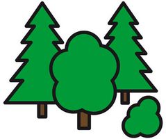 Wald Wald
