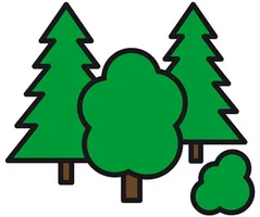 Wald Wald