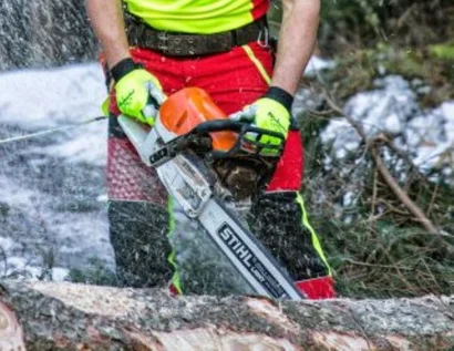 Das Bild zeigt eine Person, die einen Stamm mit einer Kettensäge durchsägt
