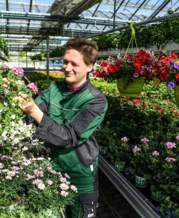 Balkonblumen & Gartendeko