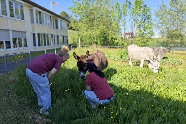 Eselbesuch im Haus St. Antonius Das Bild zeigt zwei Personen und zwei Esel auf einer Wiese