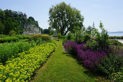 Das Bild zeigt den Uferpark in Überlingen. Das Bild zeigt den Uferpark in Überlingen.