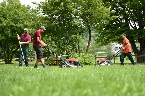 Gartenpflege