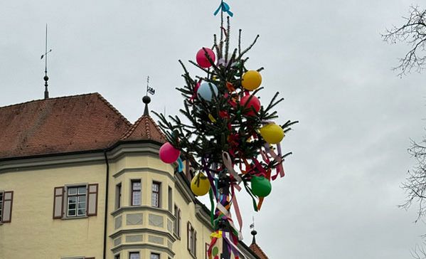 Ein geschmückter Narrenbaum vor dem Schloss Liebenau.