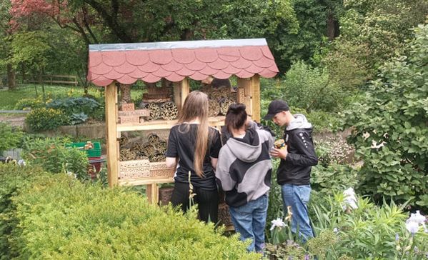 das bild zeigt schüler der max-gutknecht-schule in ulm im farngarten beim selbst gebauten bienenhotel