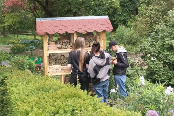 das bild zeigt schüler der max-gutknecht-schule in ulm im farngarten beim selbst gebauten bienenhotel