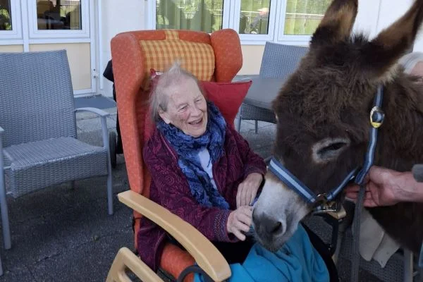Eselbesuch im Haus St. Antonius Das Bild zeigt eine Person, die einen Esel streichelt