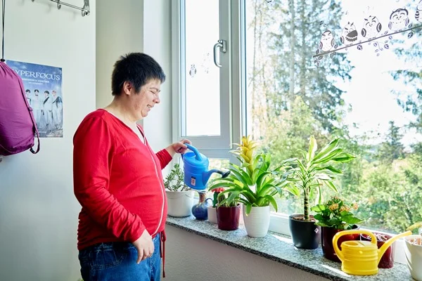 Das Bild zeigt eine Person, die Pflanzen auf einer Fensterbank gießt