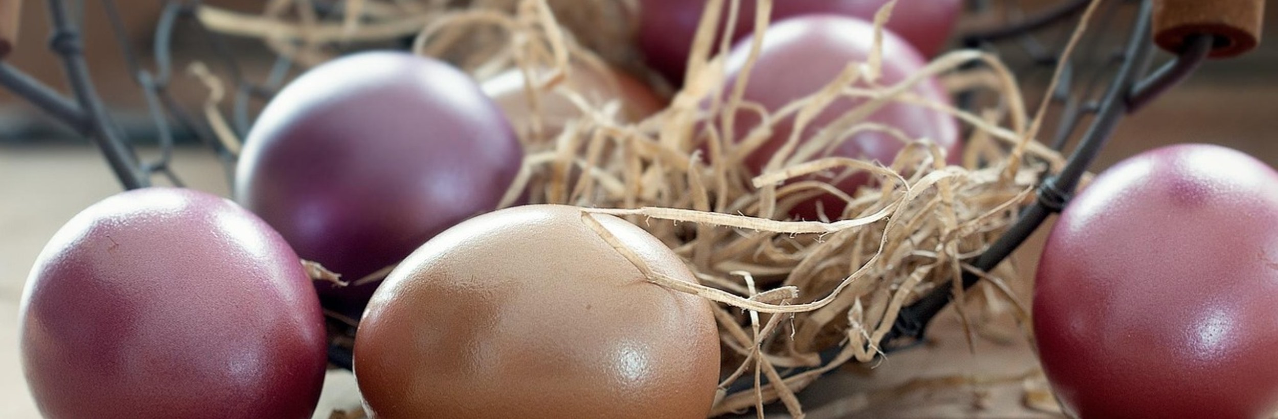 Das Bild zeigt bunte Eier vor einem stilisierten Nest
