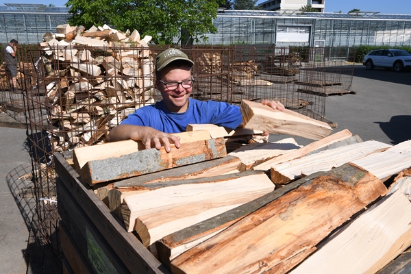 Brennholz