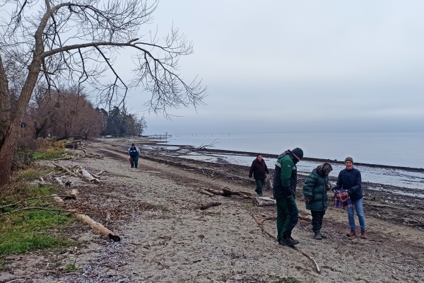Bereits im Winter haben die WfbM-Beschäftigten der Zierpflanzengärtnerei am Bodenseeufer für ihr Projekt Schwemmholz gesammelt. 