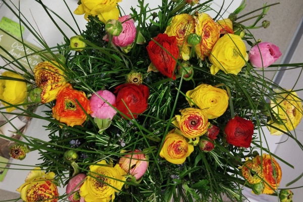 Eine Blume für die Mitarbeiterinnen zum Weltfrauentag.