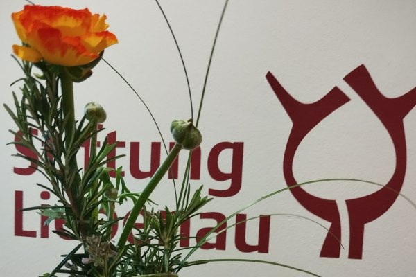 Eine Blume für die Mitarbeiterinnen zum Weltfrauentag.