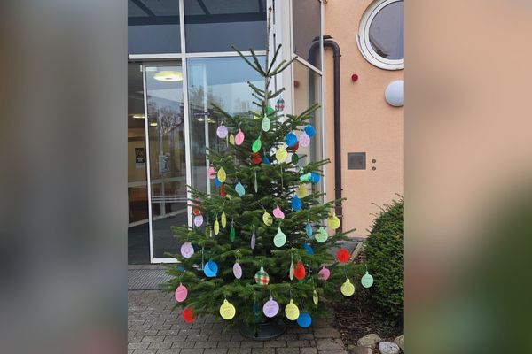 Das Bild zeigt einen bunt geschmückten Weihnachtsbaum 