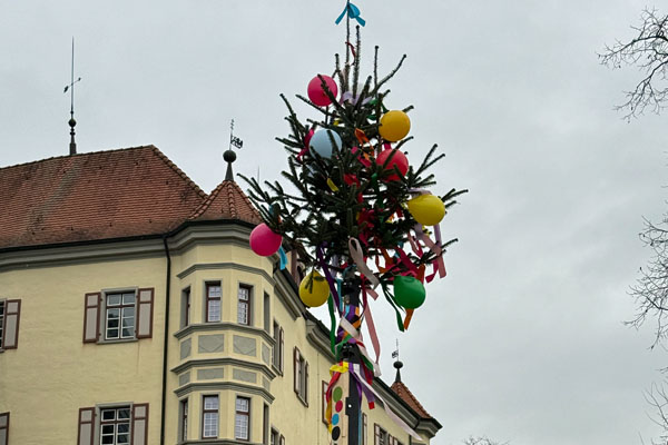 Ein geschmückter Narrenbaum vor dem Schloss Liebenau.