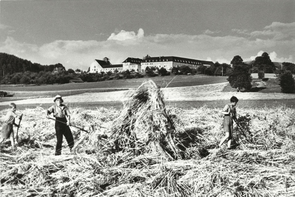 Landwirtschaft früher